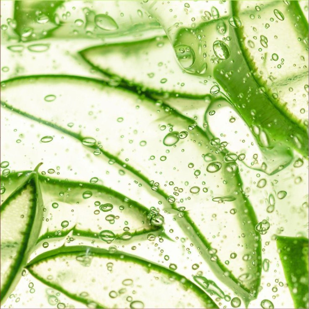 crop-1790599793852.jpg